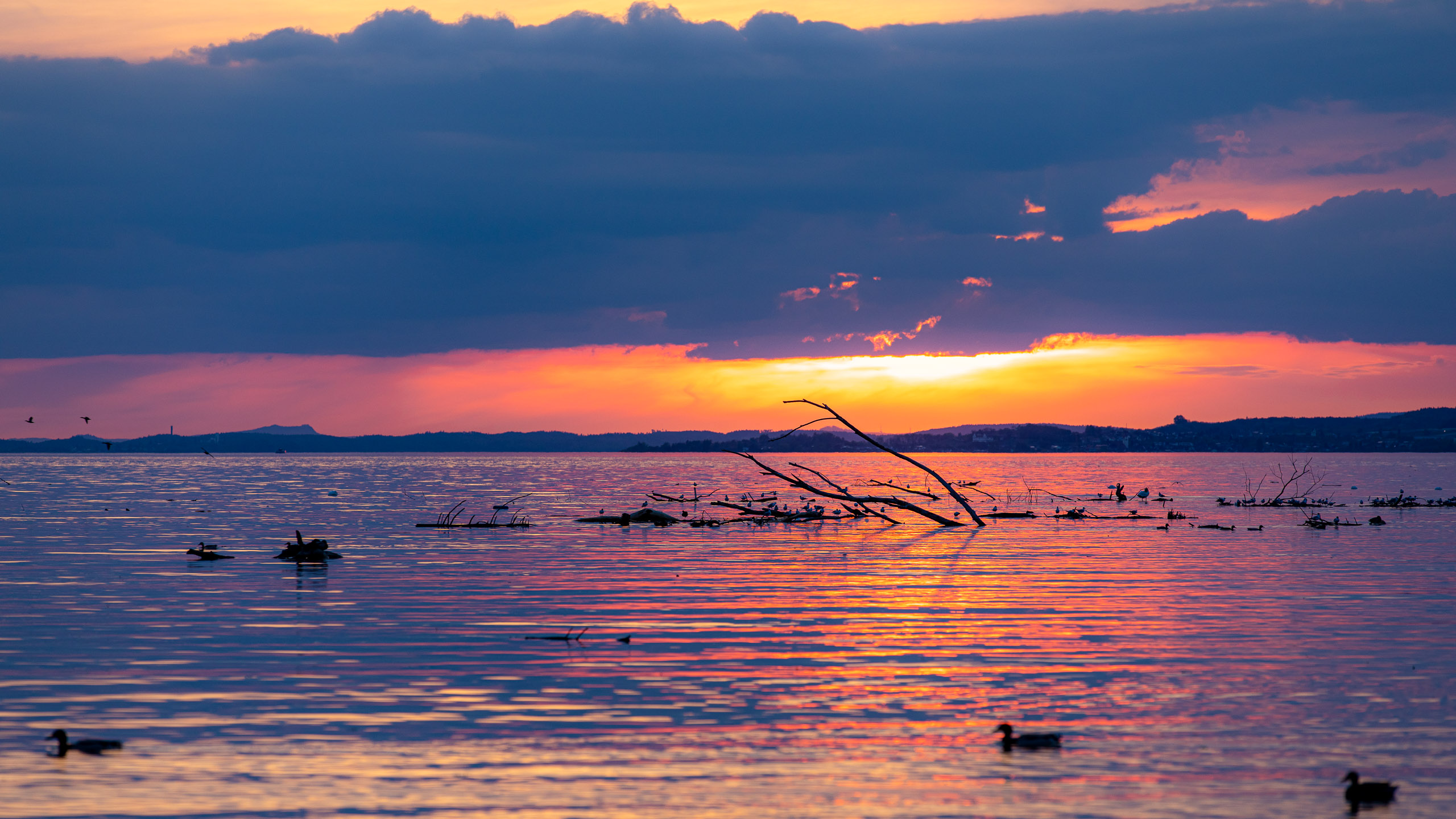 20230506202816 RD4 3934